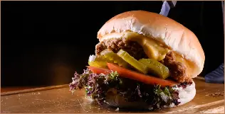 Zinger <span style="color: white"><br>7$</br></span></p>